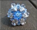 blauer-ring-gr.jpg